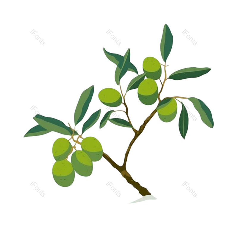 叶子图片,芒种元素,水果PNG,树叶免抠素材